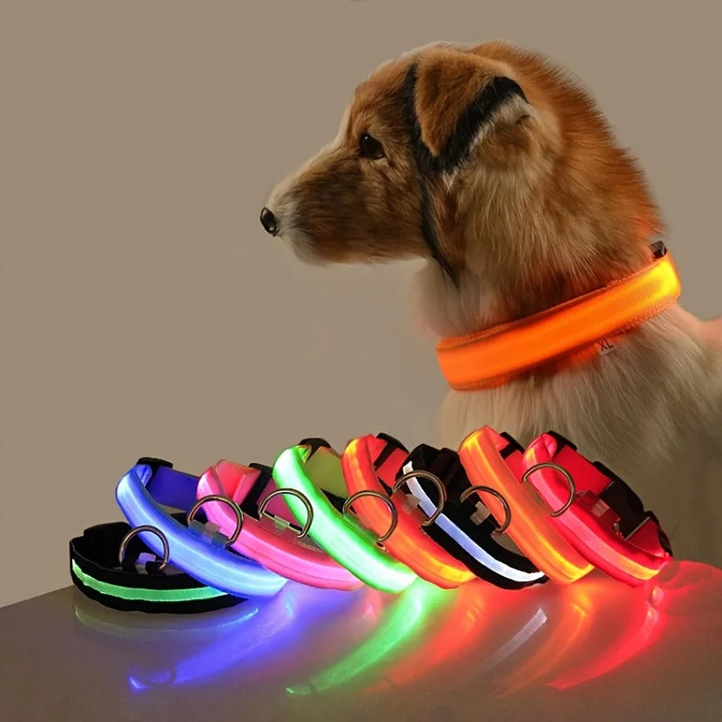 Glow in the dark collar