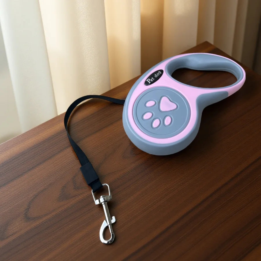 Auto retract leash