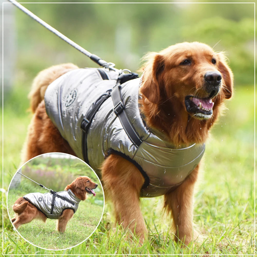 Warm winter coat with harness