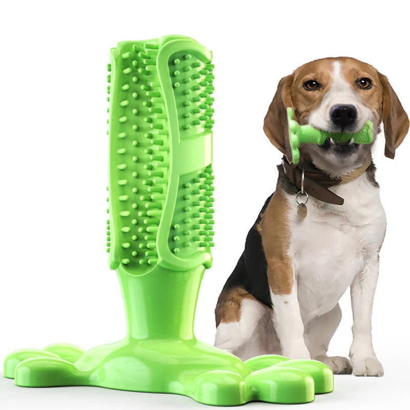 Puppy chewing brush