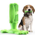Puppy chewing brush