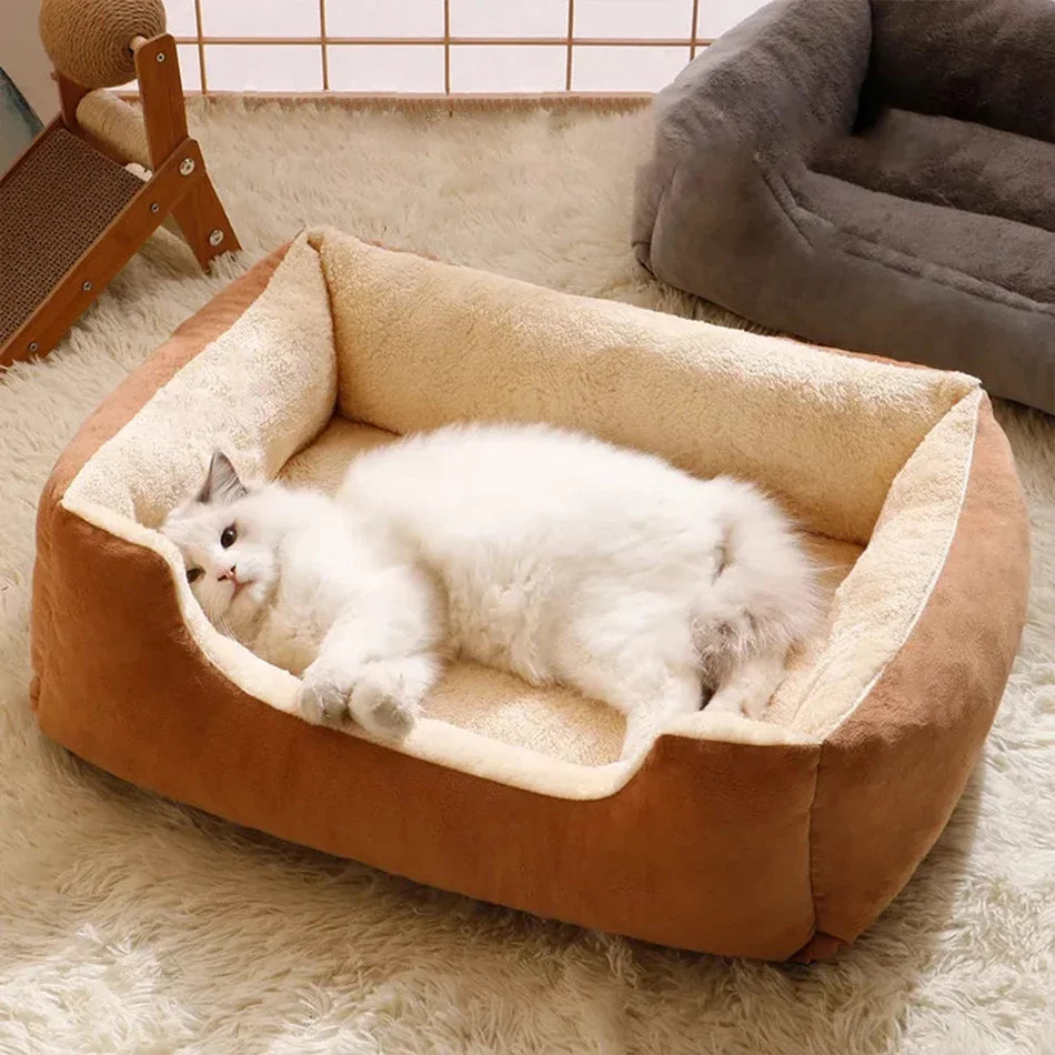 Cat bed