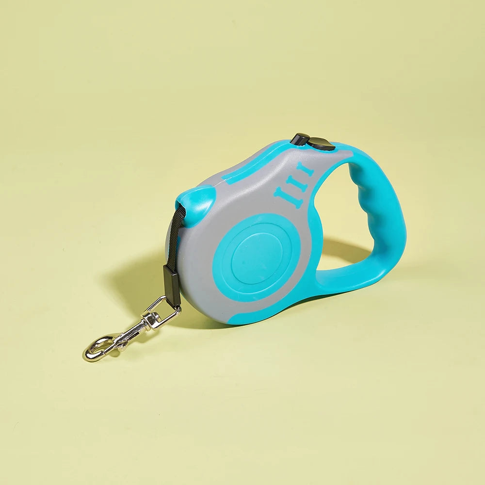 Automatic leash