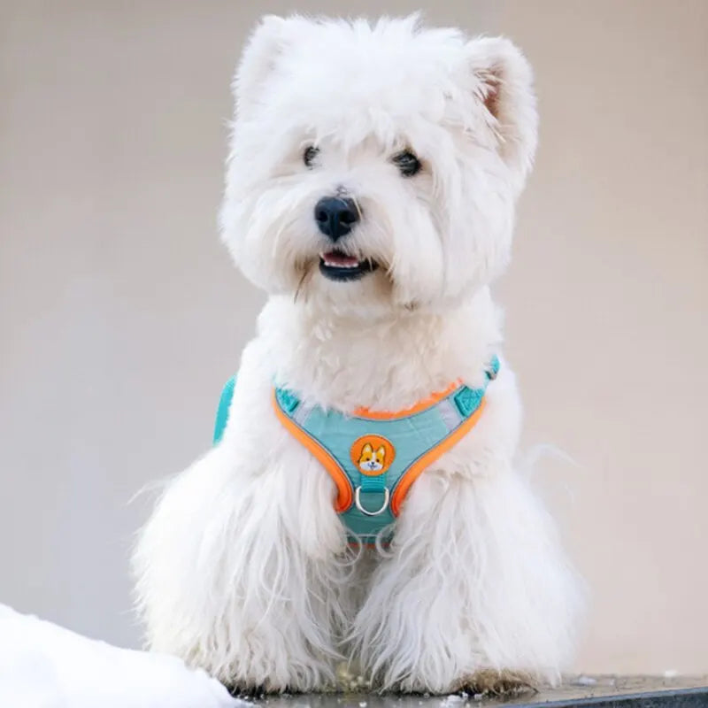 Front clip medium harness