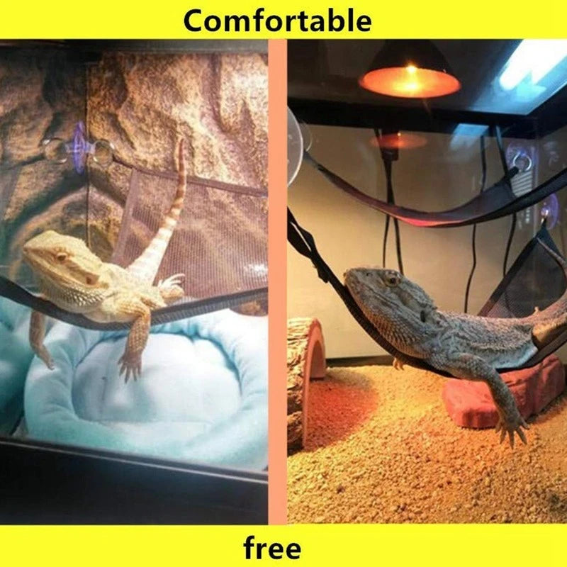 Reptile hammock