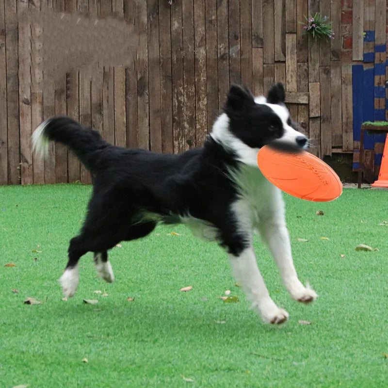 Frisbee