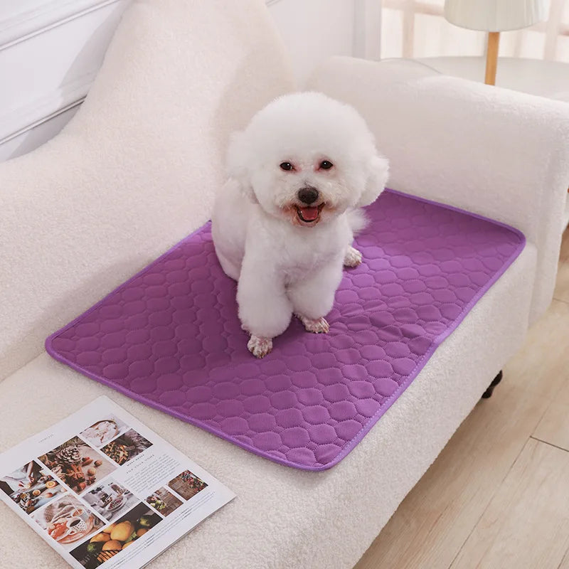 Washable pee pads