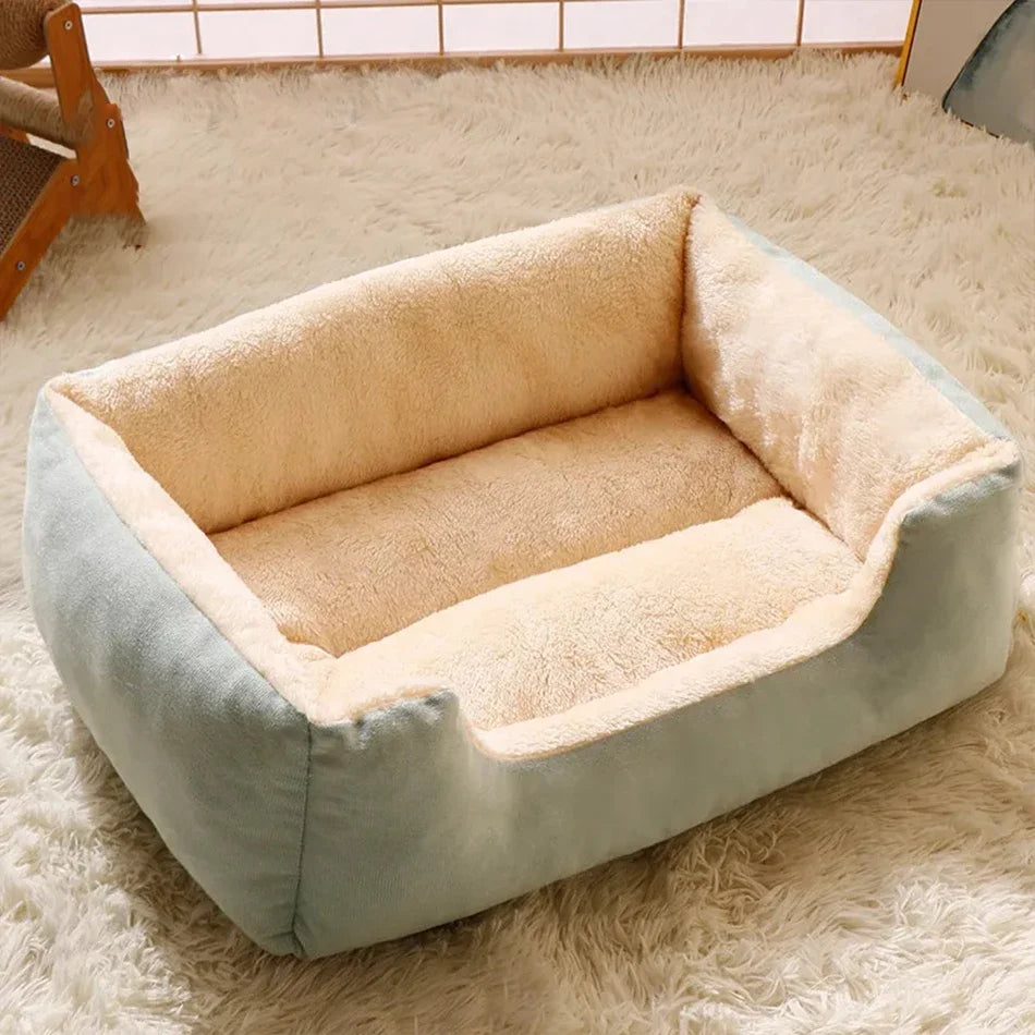 Cat bed