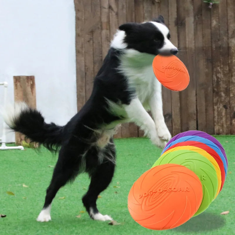 Frisbee