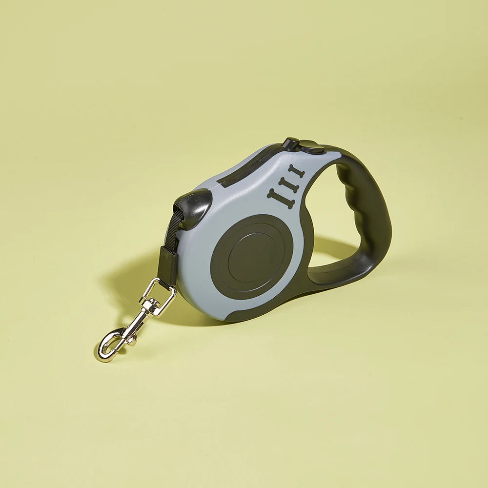 Automatic leash