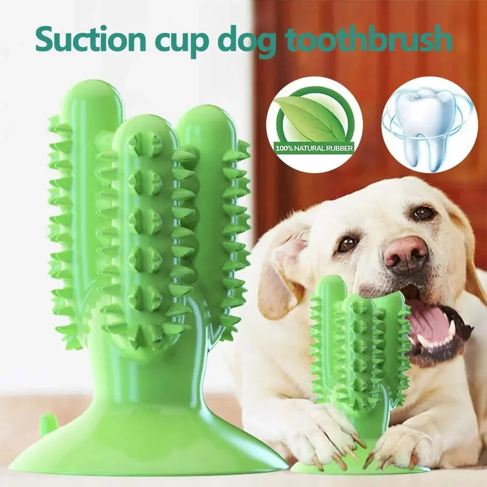 Toothbrushing toy
