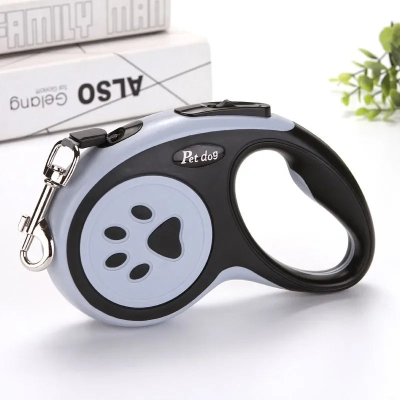 Auto retract leash