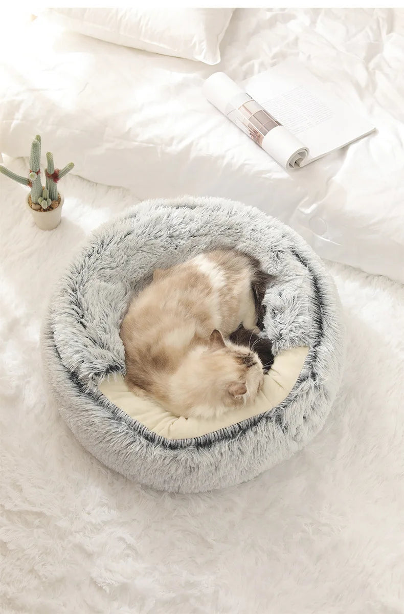 Cave bed