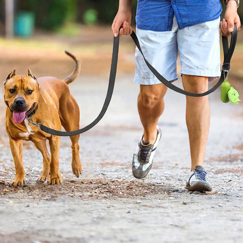 Reflective pet leash
