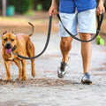 Reflective pet leash