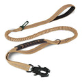 Leash with Car Seatbelt option
