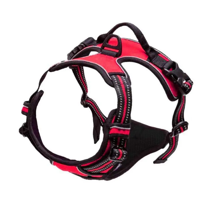 Front clip harness