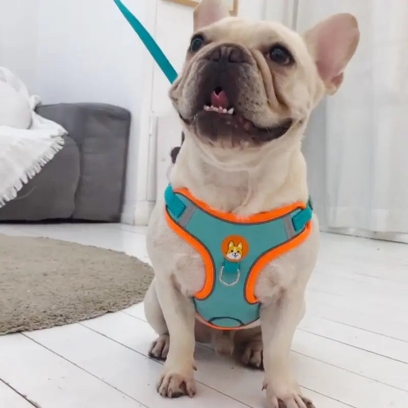 Front clip medium harness