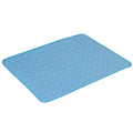 Ice silk pet mat