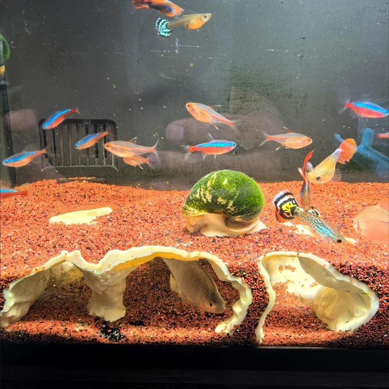 Under water aquarium tunnel