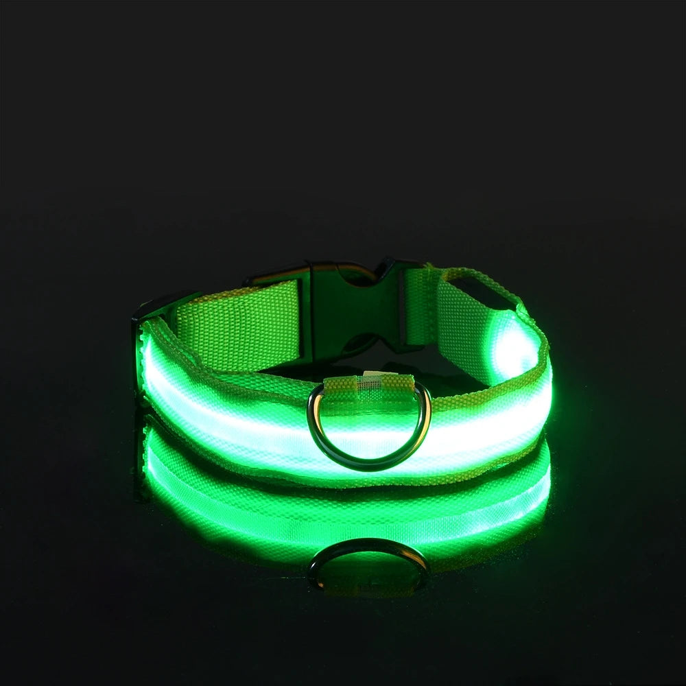 Glow in the dark collar