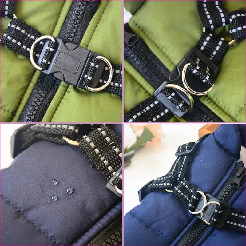 Winter jacket with harness