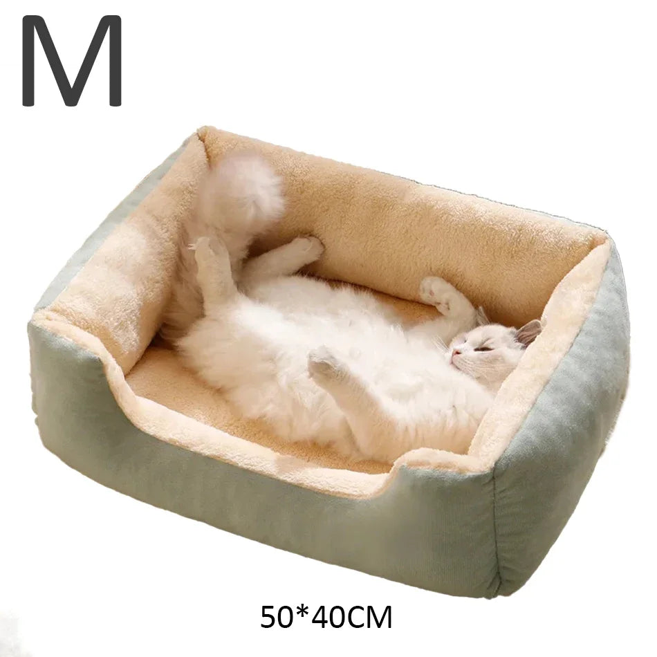Cat bed