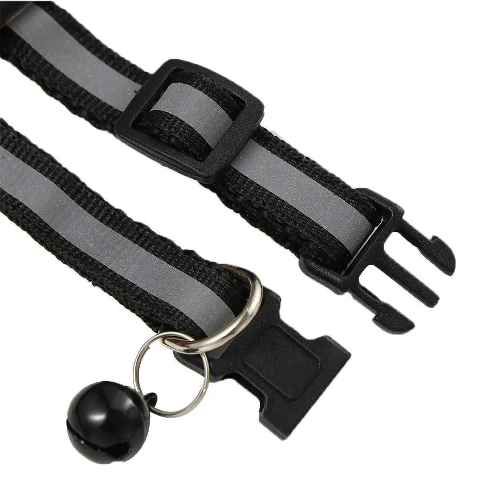 Reflective collar