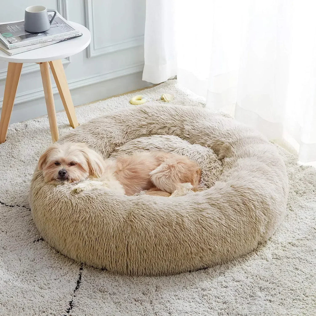 Super bed