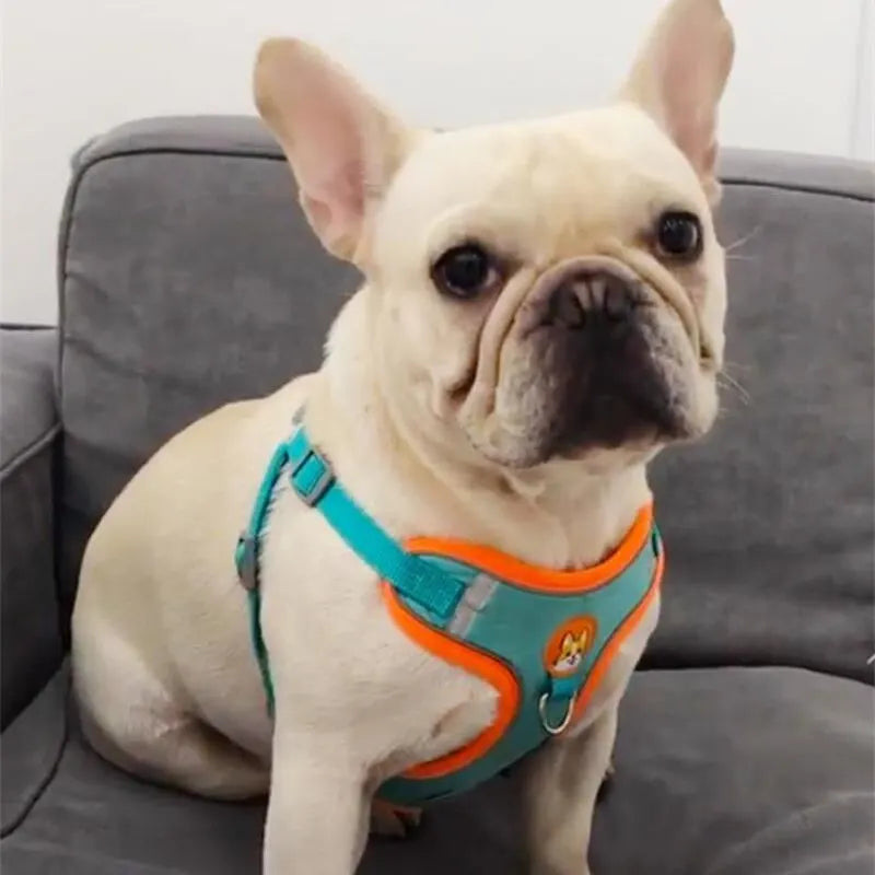 Front clip medium harness