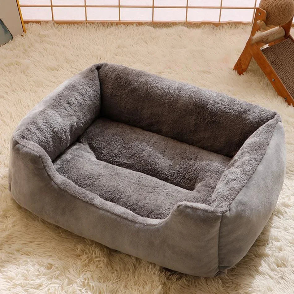 Cat bed