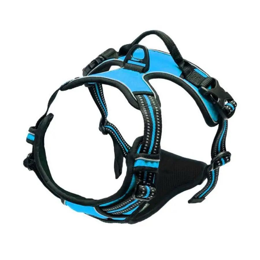 Front clip harness