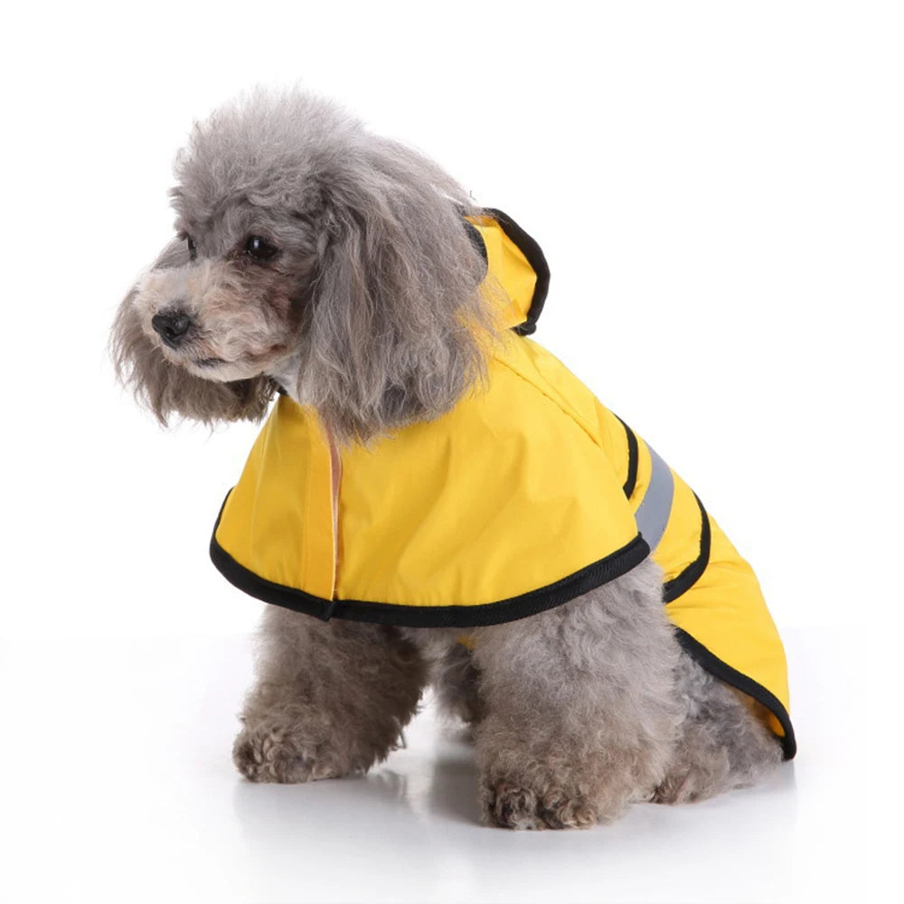 Water and windproof raincoat