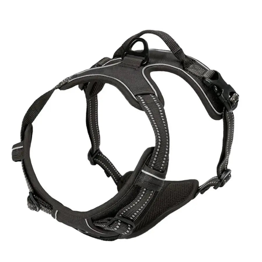 Front clip harness