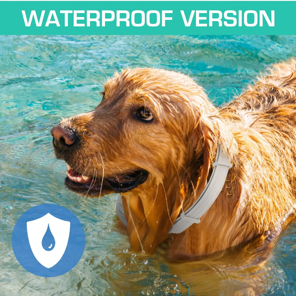 Pet repellent collar
