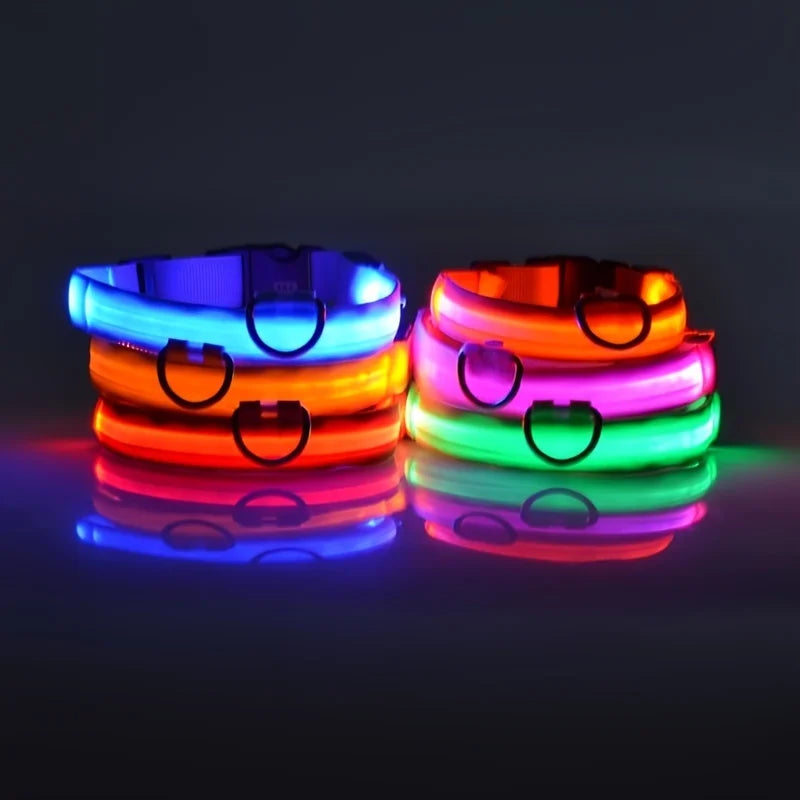 Glow in the dark collar