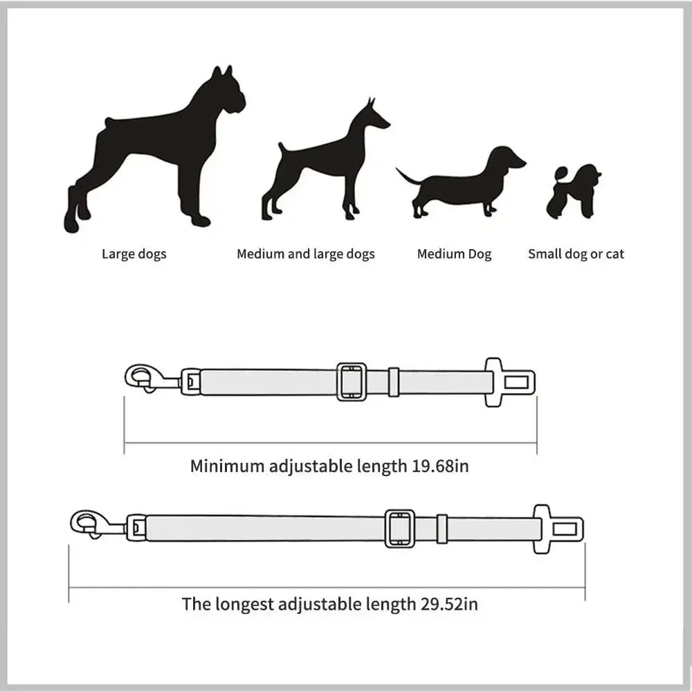 Pet seat belt