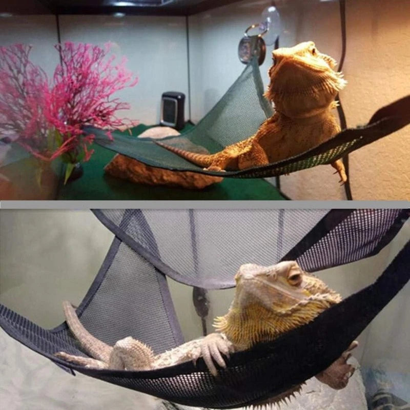 Reptile hammock