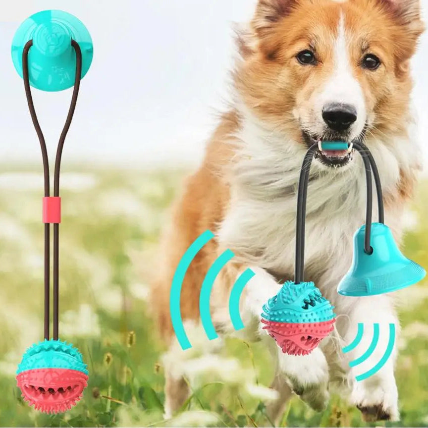 Ball on a rope
