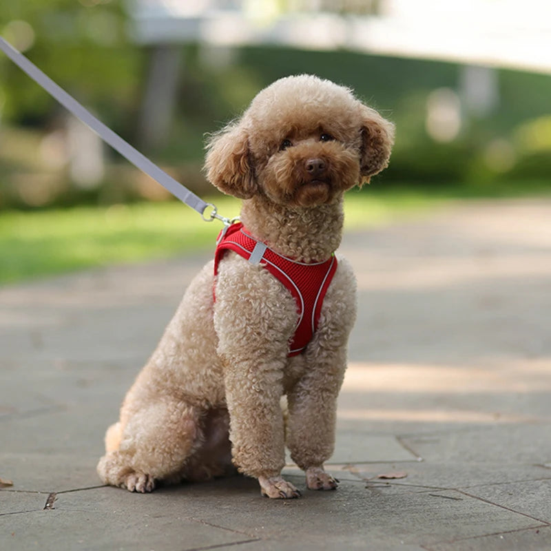 Reflective harness for small pets