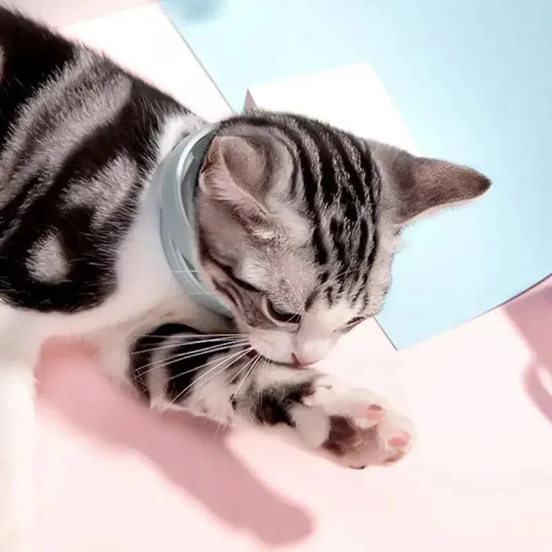 Flea and tick collar