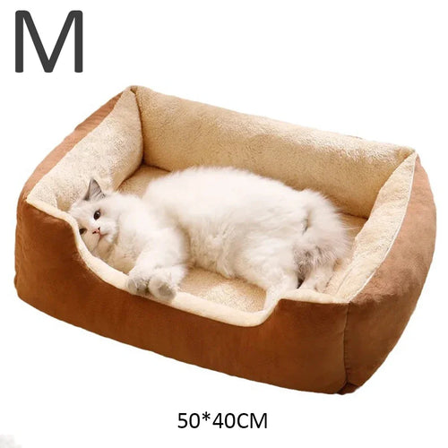 Cat bed