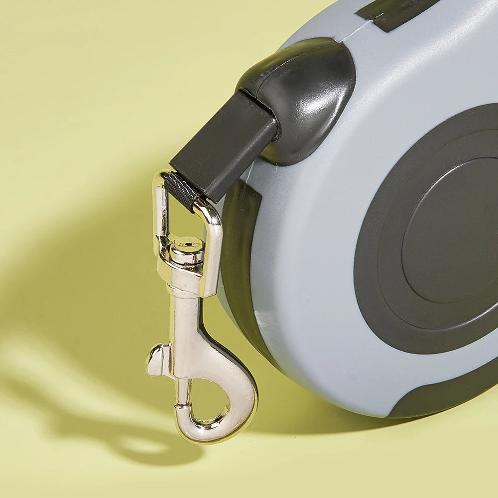 Automatic leash