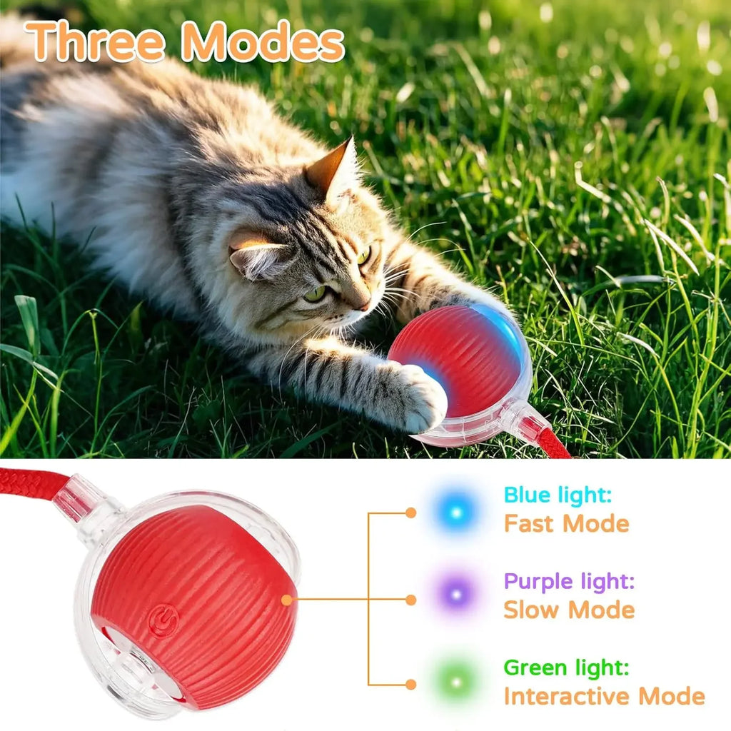 Auto-Rolling Cat Ball Toy